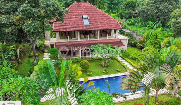 HP-LH11 Three-Bedroom Villa, 1650m2 SHM Kayuputih, Buleleng HP-LH11 Three-Bedroom Villa, 1650m2 SHM Kayuputih, Buleleng