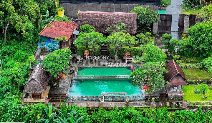 Usaha Restoran dan Kolam Renang 1150M2 di Tengah Sawah,Sambangan