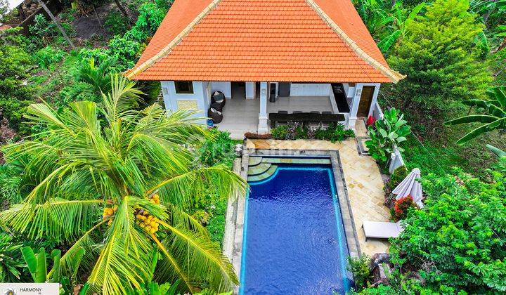 Villa Bali Modern 3 Kamar Tidur di Lovina, Buleleng, 500m2 SHM 1