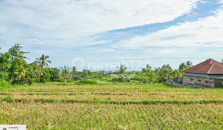 HP-NBL04 Tanah 4700m2, SHM di Panji Anom, Buleleng 1