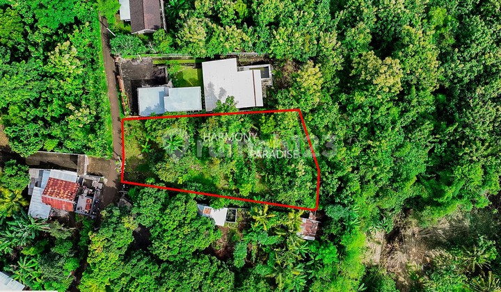 Tanah Luas 1770M2, SHM di Kaliasem, Buleleng