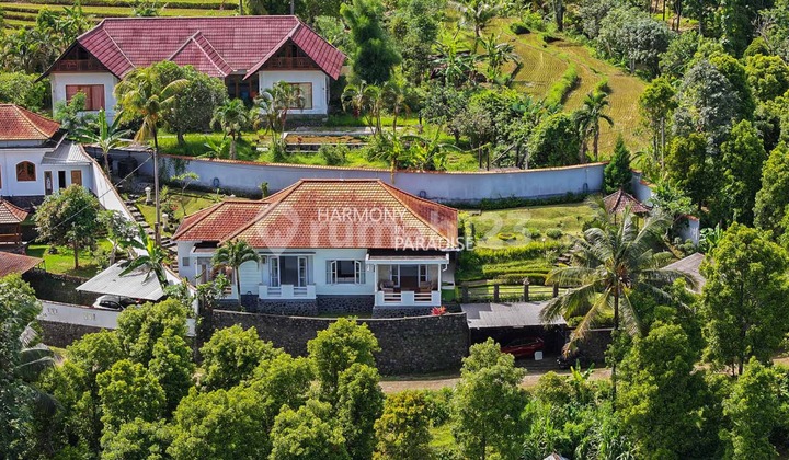 Villa Modern Terenovasi, 2 Kamar, 110,5M2 SHM di Panji, Buleleng