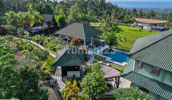 Villa,Guest House And Restaurant,3000M2,Hgb di Sambangan,Buleleng