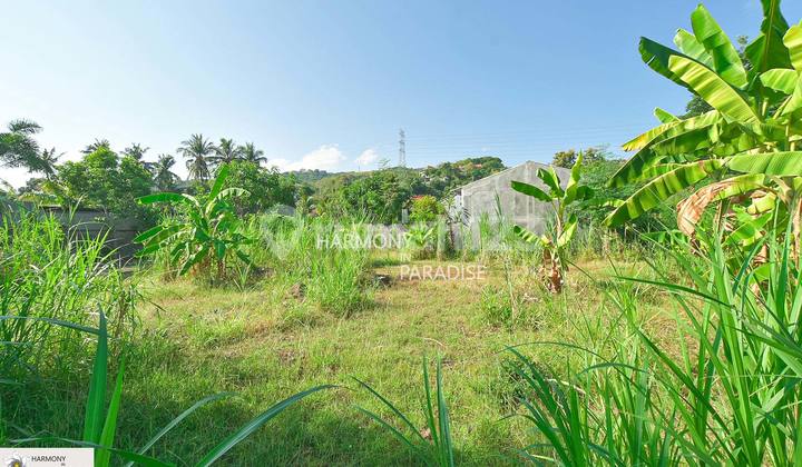 Ready-to-Build Land, 400M2, SHM in Temukus, Lovina, Buleleng Ready-to-Build Land, 400M2, SHM in Temukus, Lovina, Buleleng