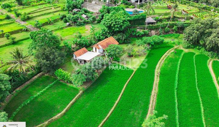 Rice Field Land with Semi Villa, 8,140 m², SHM in Selat, Buleleng Rice Field Land with Semi Villa, 8,140 m², SHM in Selat, Buleleng