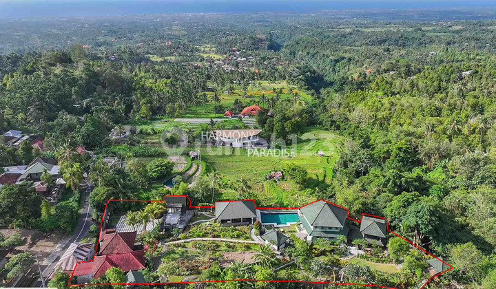 Villa, Guest House and Restaurant, 3000M2, HGB in Sambangan, Buleleng