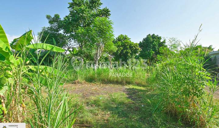 Land Ready to Build, 200M2, SHM in Temukus, Buleleng Land Ready to Build, 200M2, SHM in Temukus, Buleleng