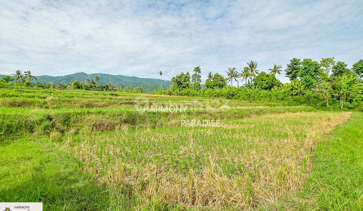 HP-NBL04 Tanah 4700m2, SHM di Panji Anom, Buleleng 2