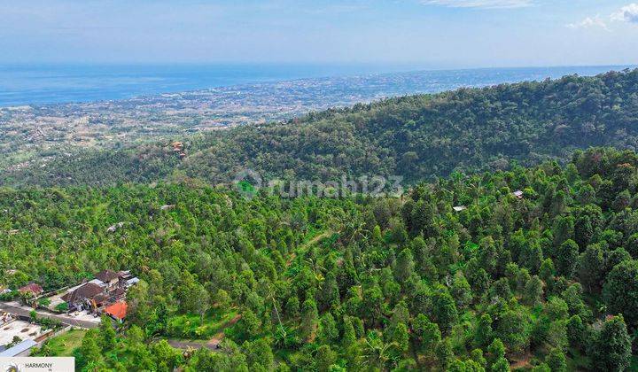 Land in Kayuputih, Buleleng SHM 5,000 m² With Panoramic View 2