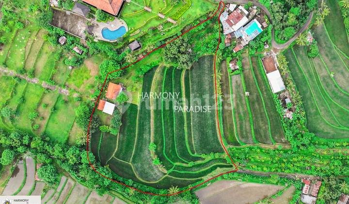 Tanah dan Sawah dengan Semi Villa, SHM 8140M2 di Selat, Buleleng Tanah dan Sawah dengan Semi Villa, SHM 8140M2 di Selat, Buleleng