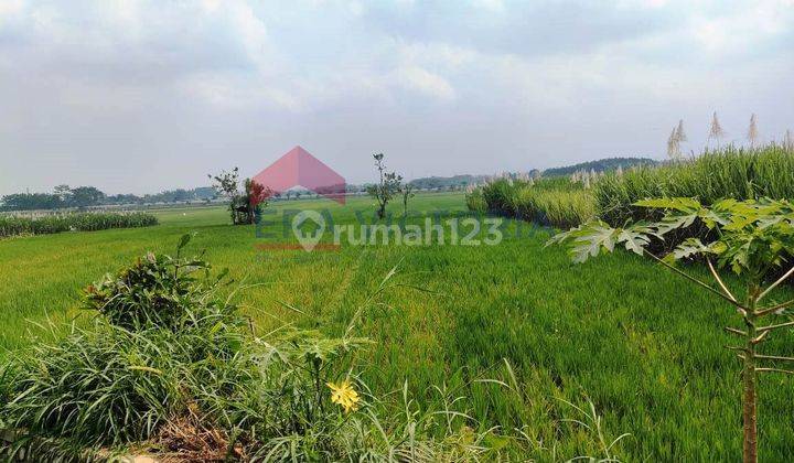 DIJUAL TANAH PERSAWAHAN DI DAERAH SINGOSARI ,AKSES MUDAH DITEPI JALAN ALTERNATIF MALANG PAKIS ,LOKASI STRATEGIS COCOK UNTUK INVESTASI JANGKA PANJANG, SINGOSARI KOTA MALANG JAWA TIMUR 2