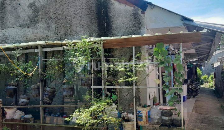 Rumah Petak 6 Pintu, Psr Jengkol Rumah Petak 6 Pintu, Psr Jengkol