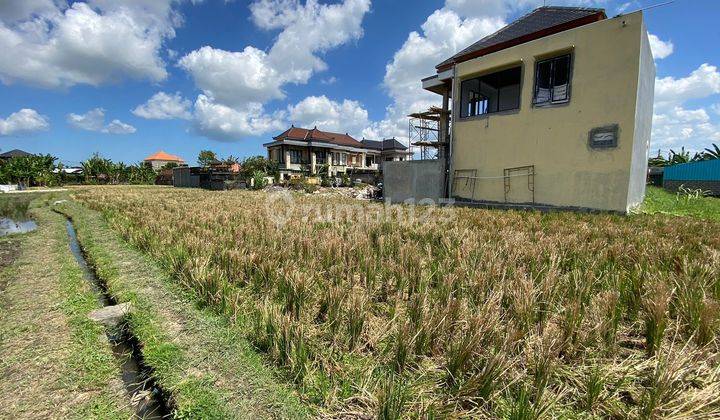 Tanah Kontrakan di Buduk Dekat Canggu AD 2