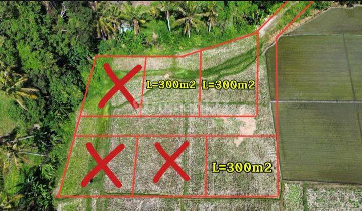 Tanah Strategis di Kaba-Kaba AD 1