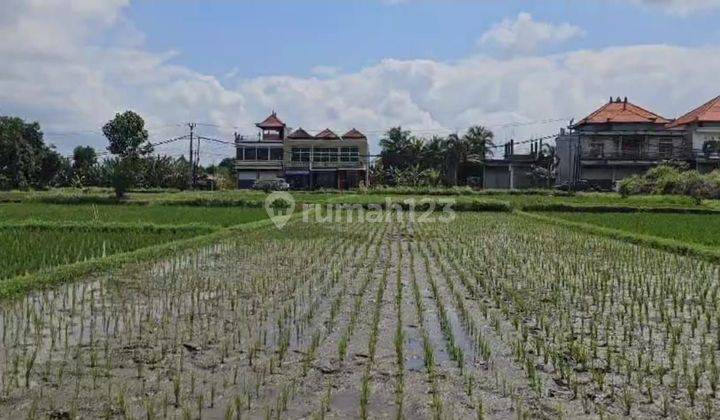 Tanah di Kedungu Tabanan IM 1