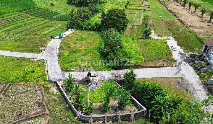 Tanah plot kecil di Kedungu IM 2