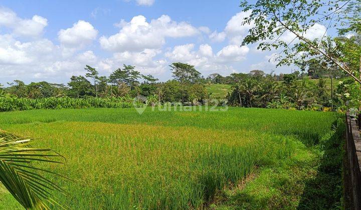 TANAH VIEW SAWAH DI MENGWI EV 1