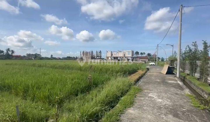 Rare land for sale near Tabanan Land Lot 26 Are CN 2