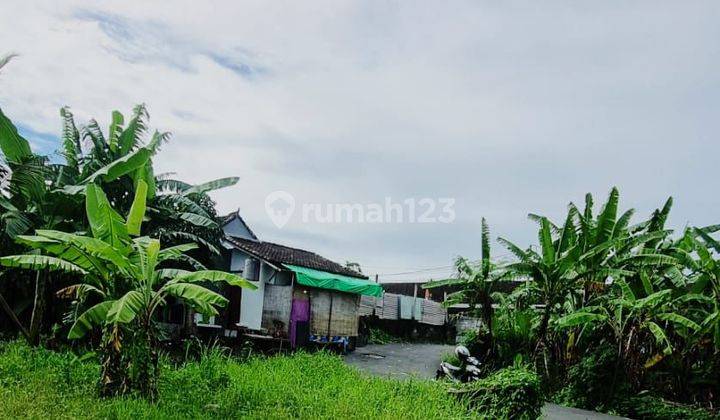 Dijual Tanah 118 M² Di Perumahan Elite Denpasar Jl 2