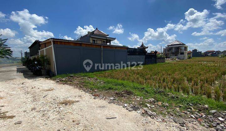 Tanah Kontrakan di Buduk Dekat Canggu AD 1