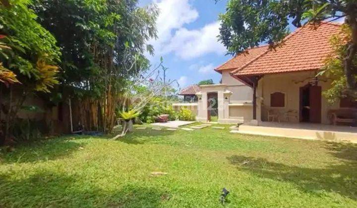 For Sale Or Rent Villa View Rice Fields In Ubud Cn 2