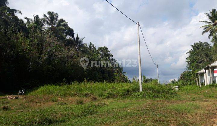 Tanah Murah di Marga Tabanan IM 2