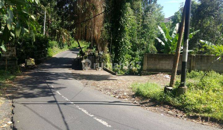 Tanah Murah Pinggir Jalan Di Tabanan DD 1