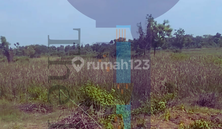 Tanah Luas Cocok untuk Industri/Pergudangan 