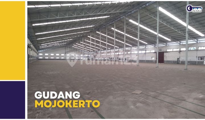 Gudang Loading Dock Mojokerto Dekat Sidoarjo Izin Industri Gudang Loading Dock Mojokerto Dekat Sidoarjo Izin Industri