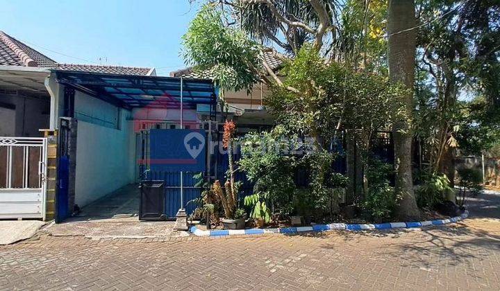 DIJUAL RUMAH MINIMALIS MODERN POSISI HOOK MENGHADAP TIMUR LAUT DAN BARAT LAUT 2