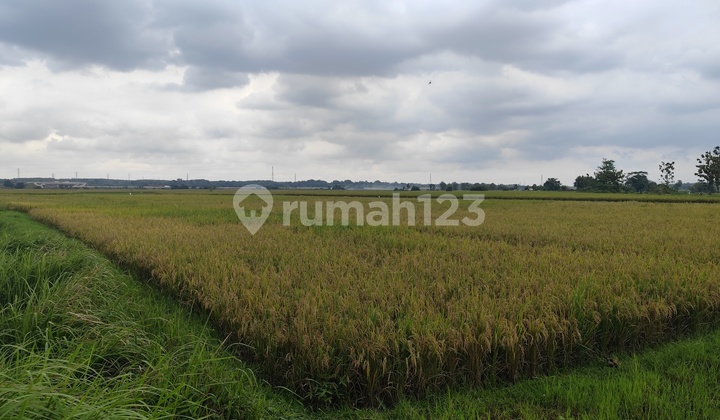 4,500M² Land in Ridhomanah Strategic Location 4,500M² Land in Ridhomanah Strategic Location