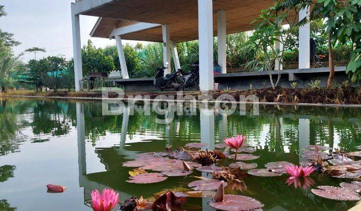 VILLA SEHARGA SAWAH KOSONGAN, 20 menit dari Pintu Tol Seroja Bandung 1