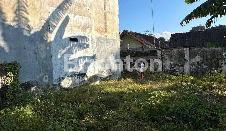 Rumah Sarang Burung Walet di Bondowoso Jawa Timur 2