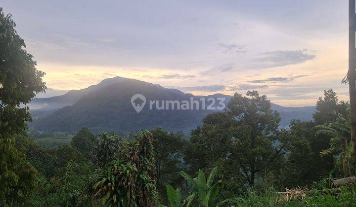 Tanah lokasi Cigudeg Bogor  2