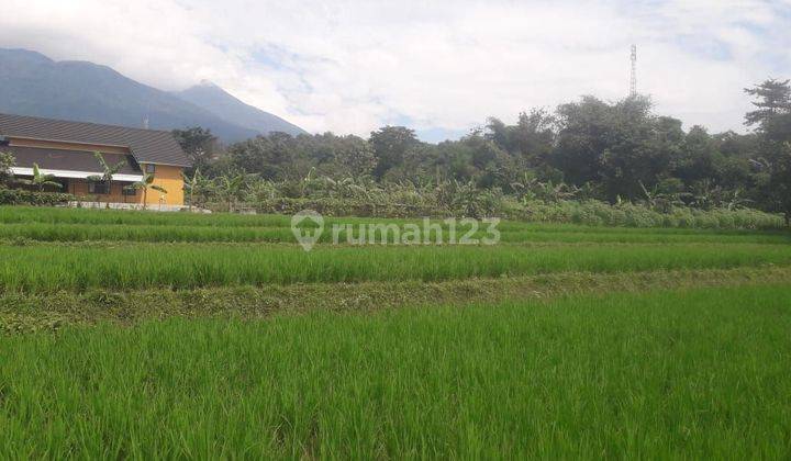 Tanah lokasi Cihideung Cijeruk Bogor  2