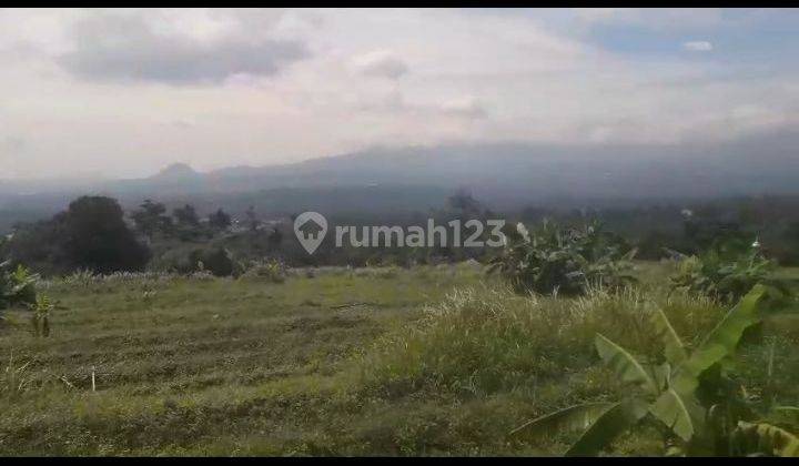 Lahan lokasi Cihideung Cijeruk Bogor  1