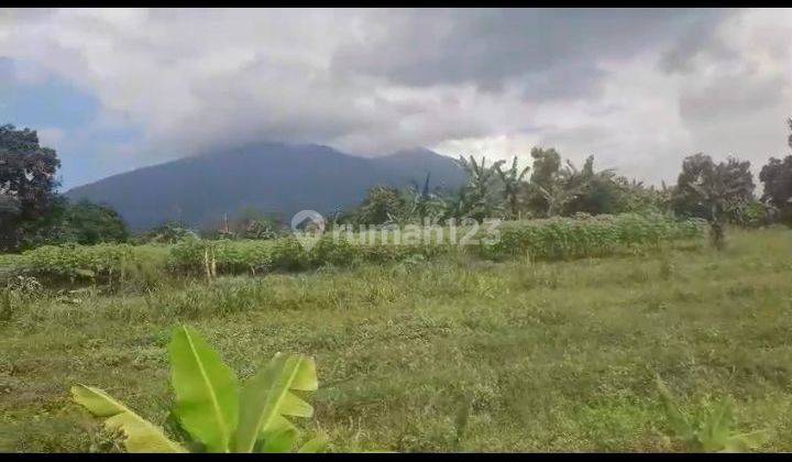 Lahan lokasi Cihideung Cijeruk Bogor  2