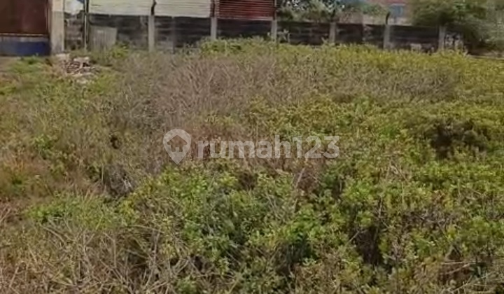 Jual Tanah Tambak Langon Surabaya