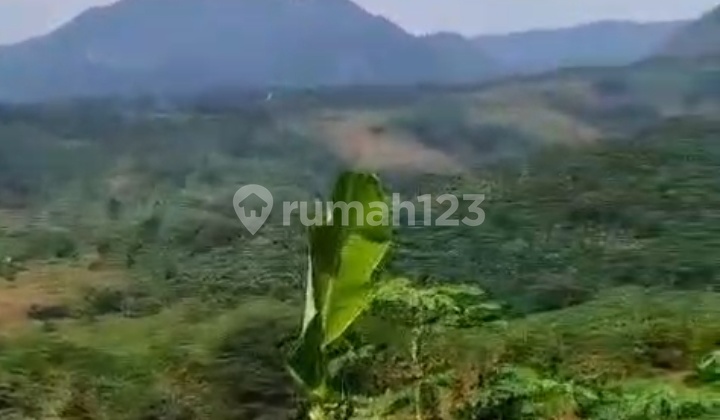 Jual Tanah Jonggol View Bagus Jalur Puncak Dua Jual Tanah Jonggol View Bagus Jalur Puncak Dua