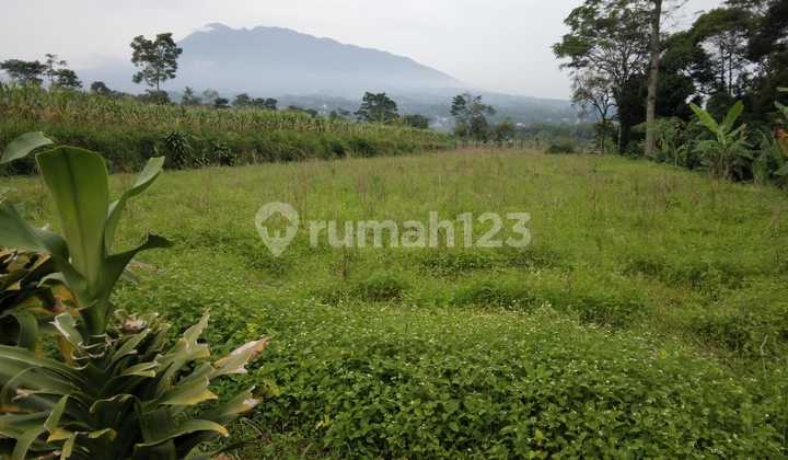 Jual Tanah Dimegamendung Bogor Jawa Barat