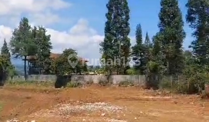 Land for Sale in Puncak Cisarua Bogor