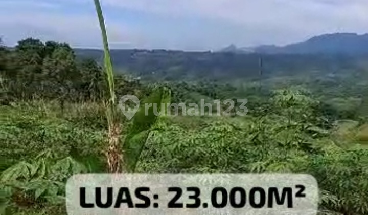 Jual Lahan Disukadamai Jonggol Bogor Jual Lahan Disukadamai Jonggol Bogor