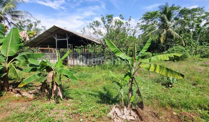 Dijual Cepat. Lokasi Bagus 1