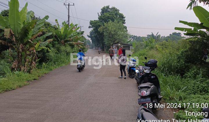 TANAH MURAH 2,3 HA DI PINGGIR JALAN RAYA PARUNG BOGOR 1