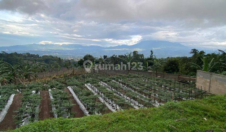 Tanah Kavling di Cijeruk Bogor Jawa Barat  2