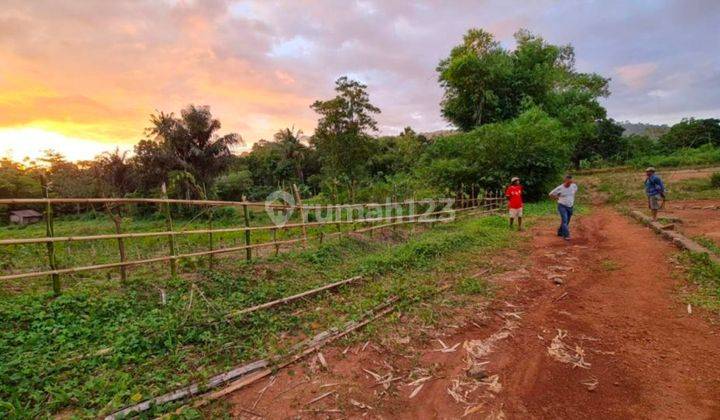 Tanah Poros Paccellakang Kecamatan Pattalassang 1