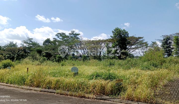 Commercial Plot Gowa Tourist Location Strategic Location