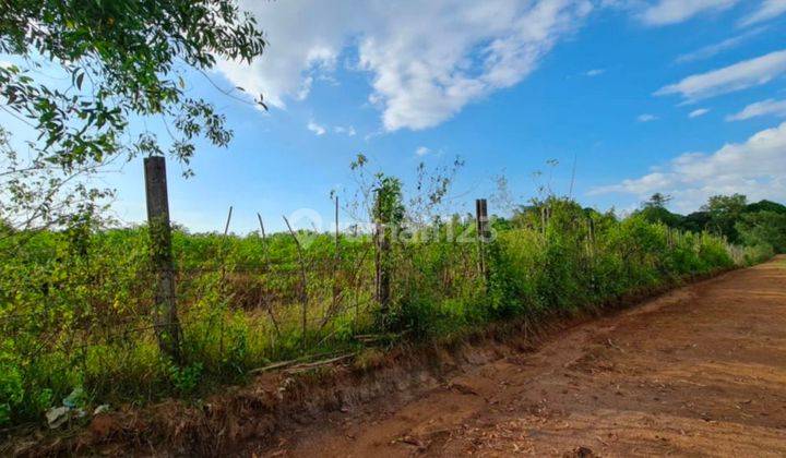 Tanah Kawasan Industri Panaikang Kecamatan Pattalassang Gowa 1