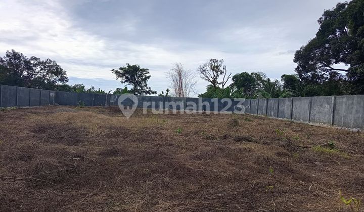 Land Near Airport and Warehouses 88 and Patene Land Near Airport and Warehouses 88 and Patene