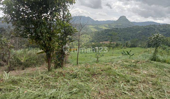 Di Jual Lahan Di Bawah Harga Pasaran, Di Sukamakmur Kab Bogor 2